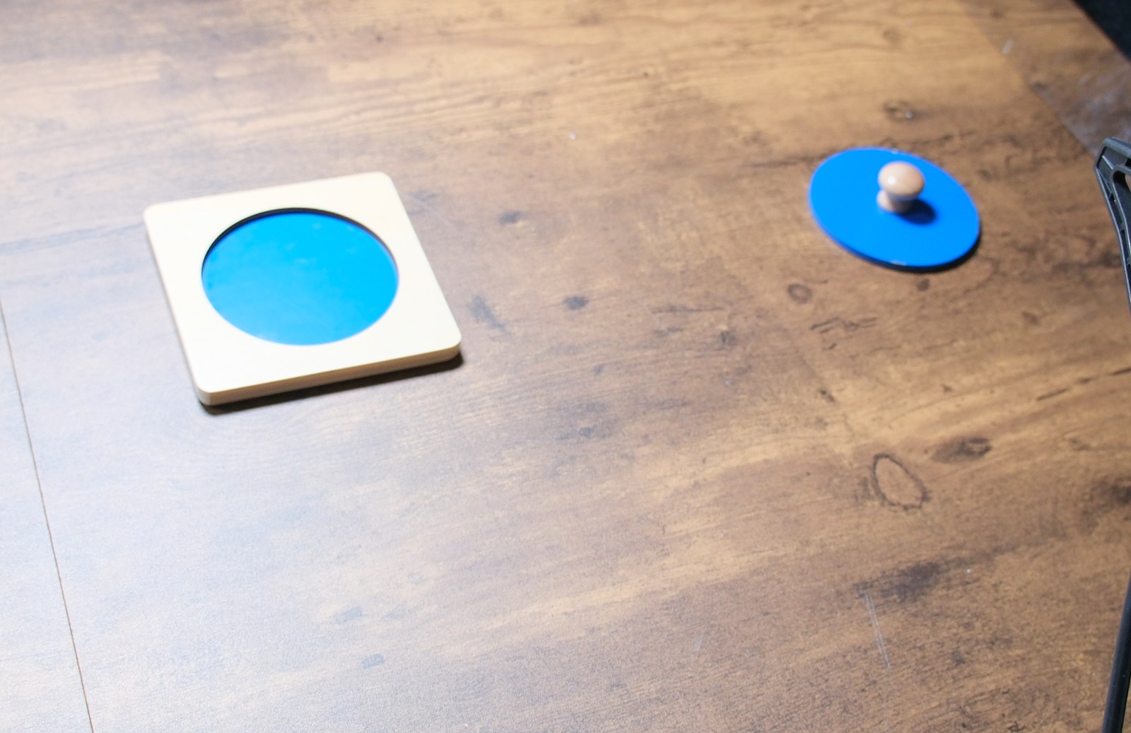 The puzzle task set up on the rig: a board with a circular
      groove cut into it, and the round blue puzzle piece with its wooden knob resting to the right.